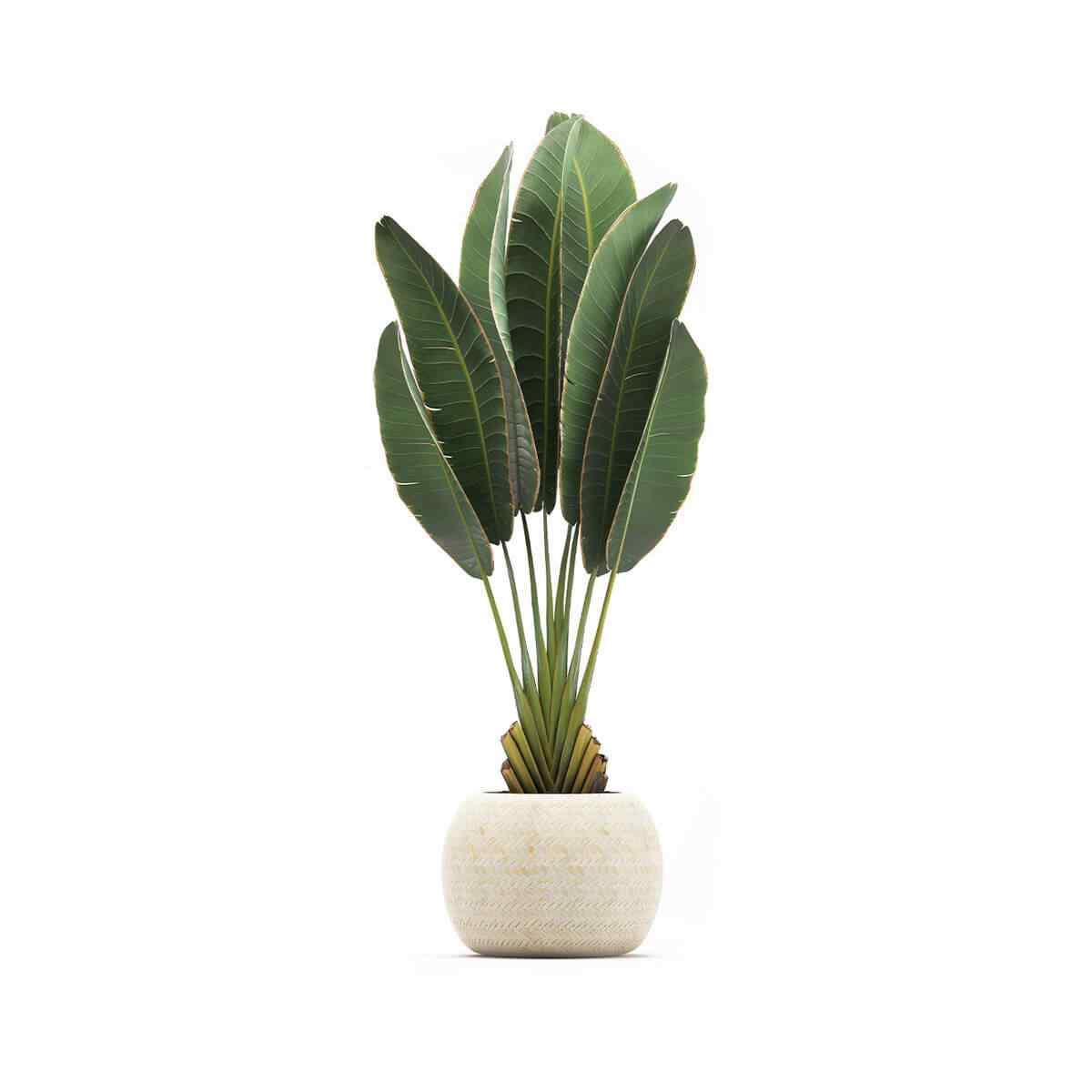 https://emeraldreservetx.com/wp-content/uploads/2018/09/product_06-1.jpg