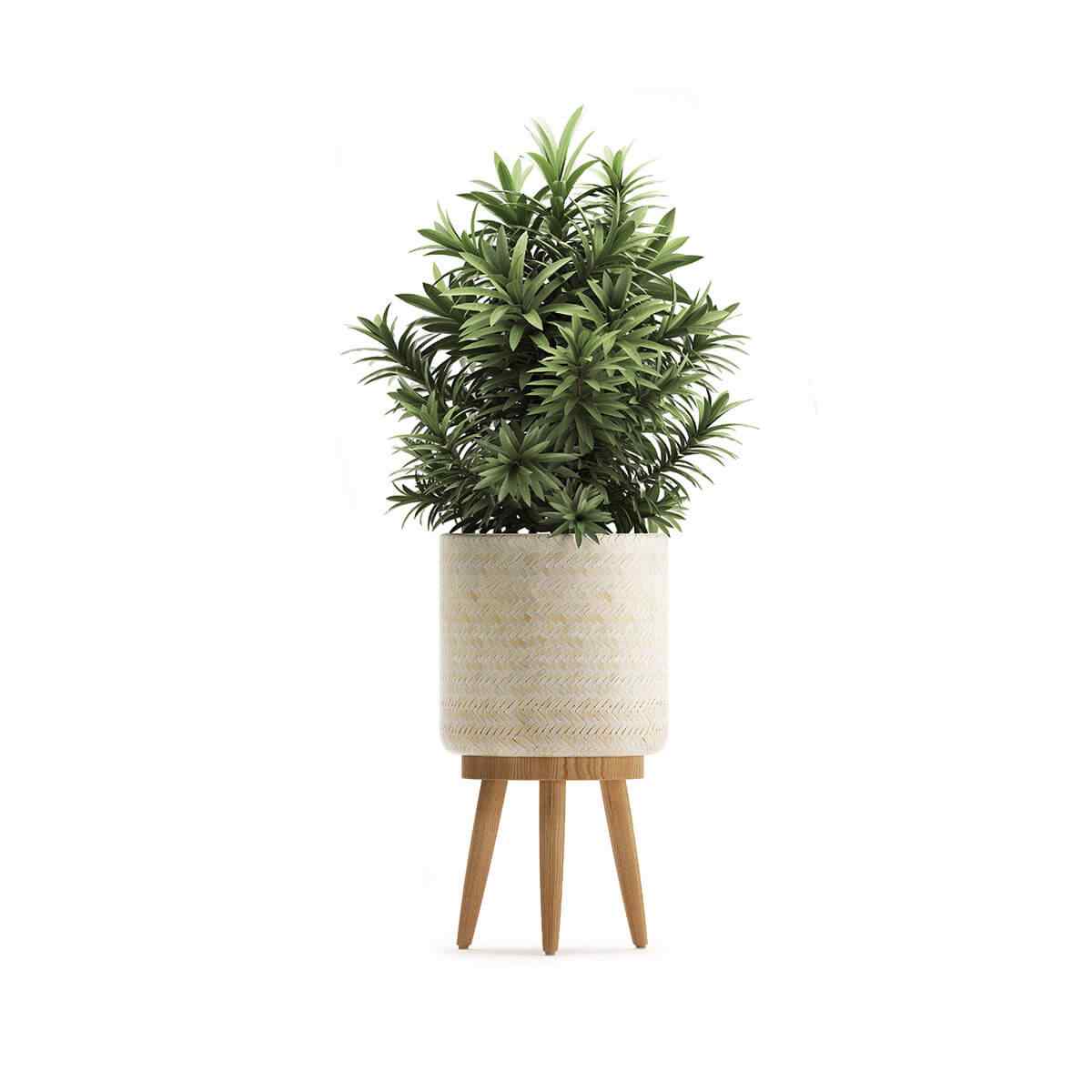 https://emeraldreservetx.com/wp-content/uploads/2018/09/product_07-1.jpg