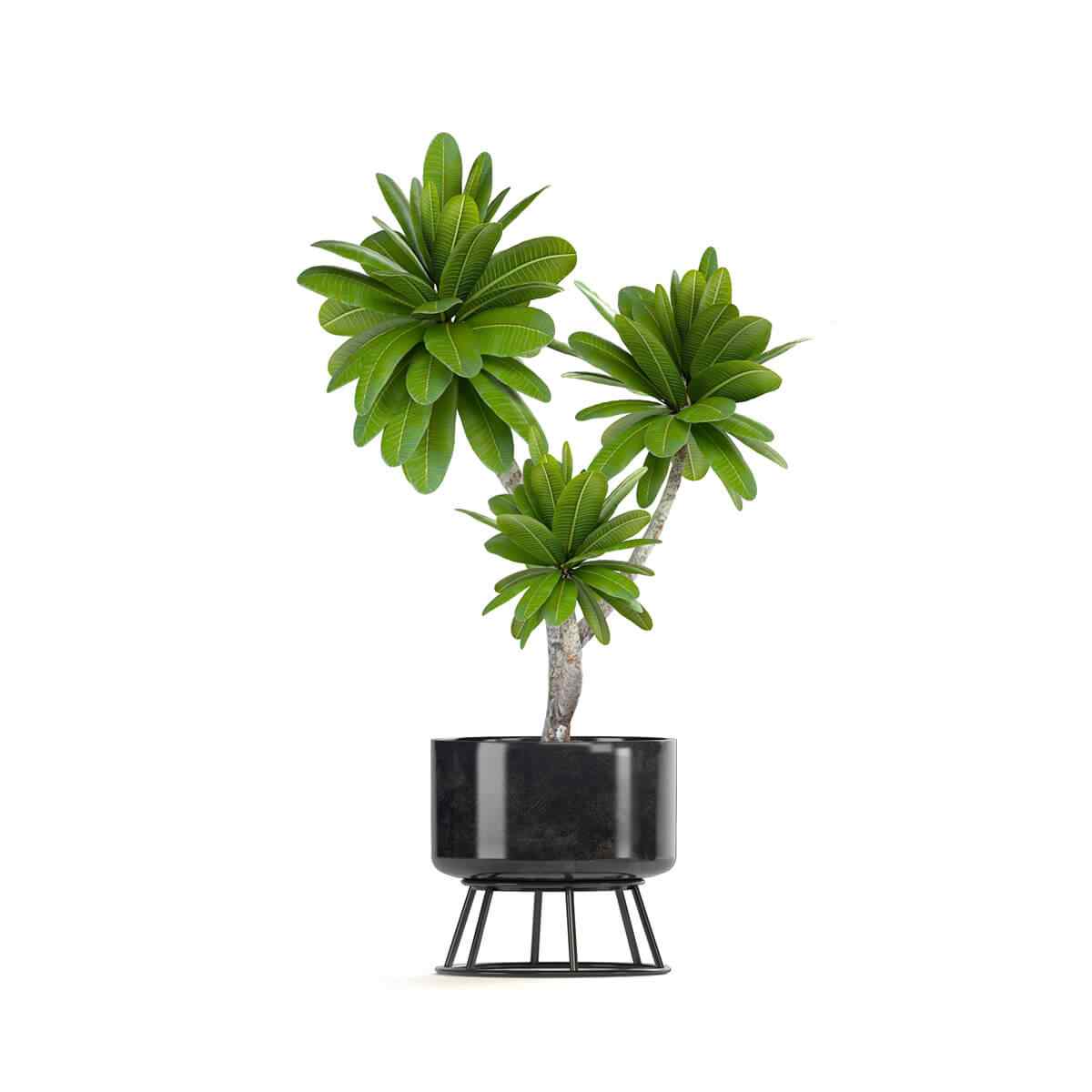 https://emeraldreservetx.com/wp-content/uploads/2018/09/product_08-1.jpg